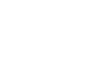 Markenlogo Professionals Choice