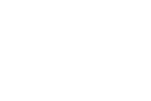 Markenlogo Freemax